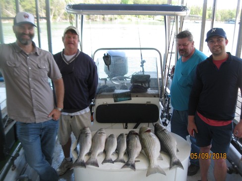 Nice Striped Bass
